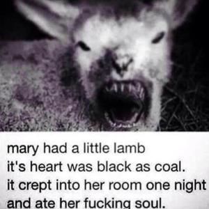 Meet your Posher, Patric