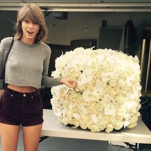 Brandy Melville ABI Grey Angora Cropped Sweater