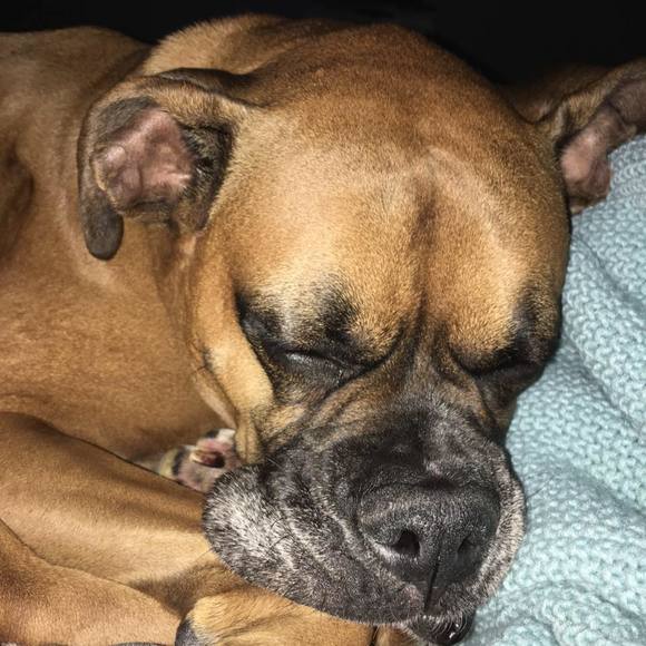 Meet your Posher, Lucka