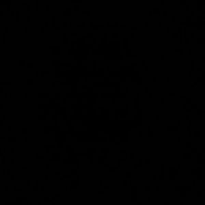 Meet your Posher, Shaneka