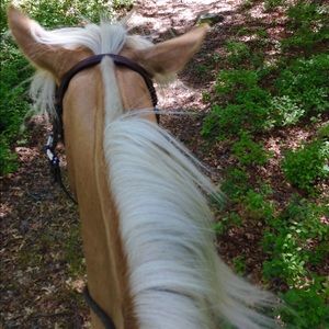 Meet your Posher, Janice