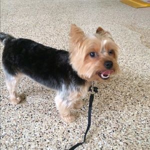 Meet your Posher, Dana