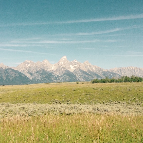 Meet your Posher, Bellla - Picture 1 of 1