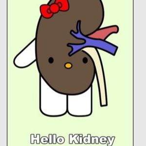 Meet your Posher, Kelly