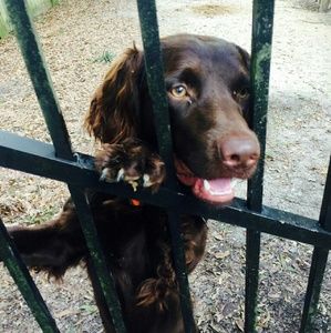 Meet your Posher, Austin