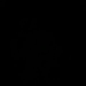 Meet your Posher, Lakechia