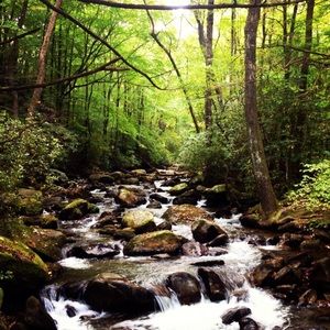 Meet your Posher, Kristin