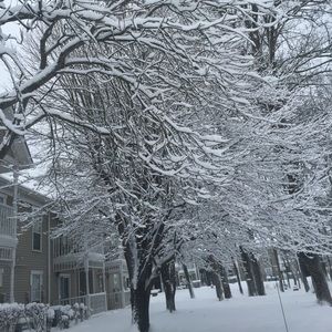 Meet your Posher, Diana