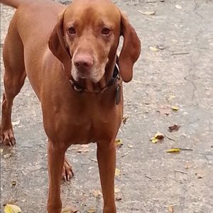 Meet your Posher, Joann