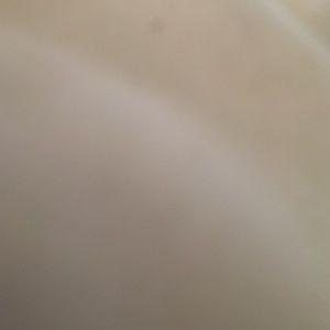 Meet your Posher, Kala