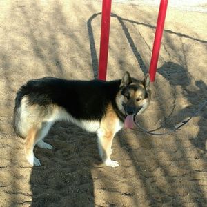 Meet your Posher, Milton