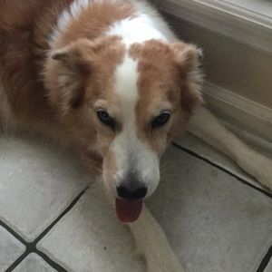 Meet your Posher, Janet