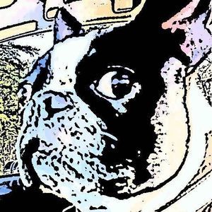 Meet your Posher, Daisy