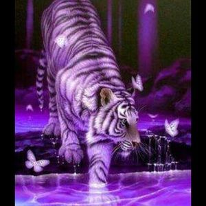 Meet your Posher, Jeanne