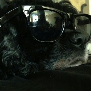 Meet your Posher, Blake