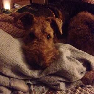 Meet your Posher, Patricia