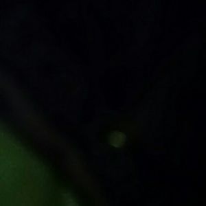 Meet your Posher, Lexi