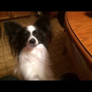 Meet your Posher, Kathy