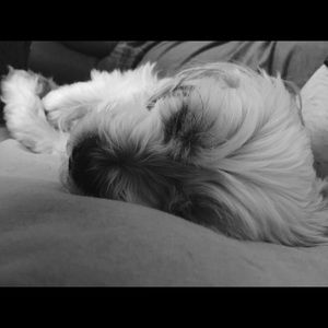 Meet your Posher, Ashly