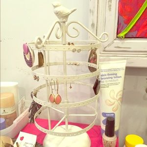 Earring organizer
