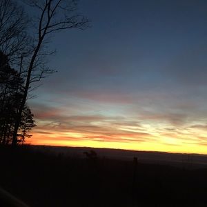 Meet your Posher, Lucy