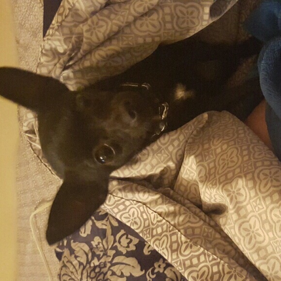 Meet your Posher, Michele