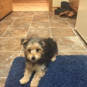 Meet your Posher, Janelle