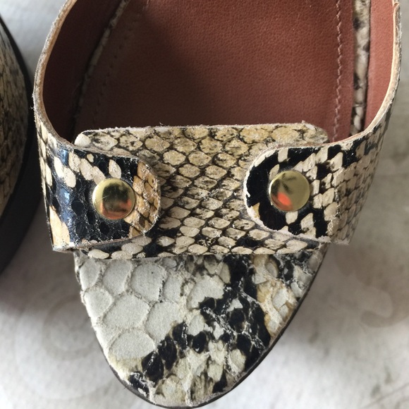 snakeskin heels steve madden