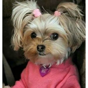 Meet your Posher, Alba