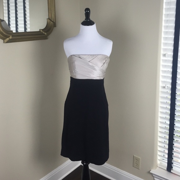 BCBG Strapless Dress with Built-In Support Size 10