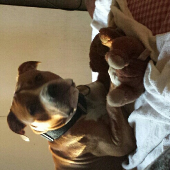 My babies! !!
