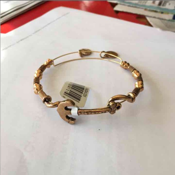 Alex and Ani uncharted bangle