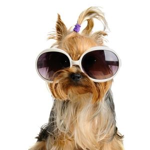 Meet your Posher, Teresa