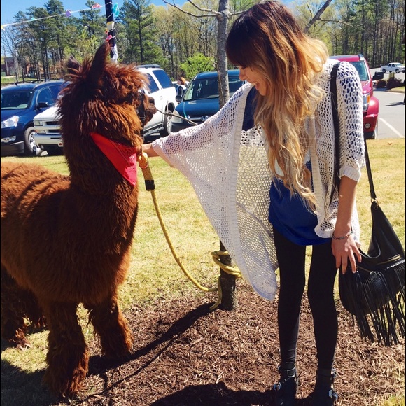 Meet your Posher, Halley - Picture 2 of 4