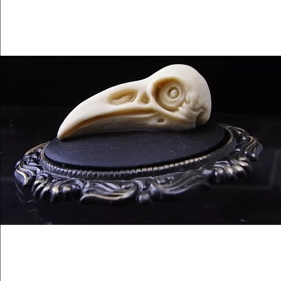 Meet your Posher, Alex - Picture 2 of 4