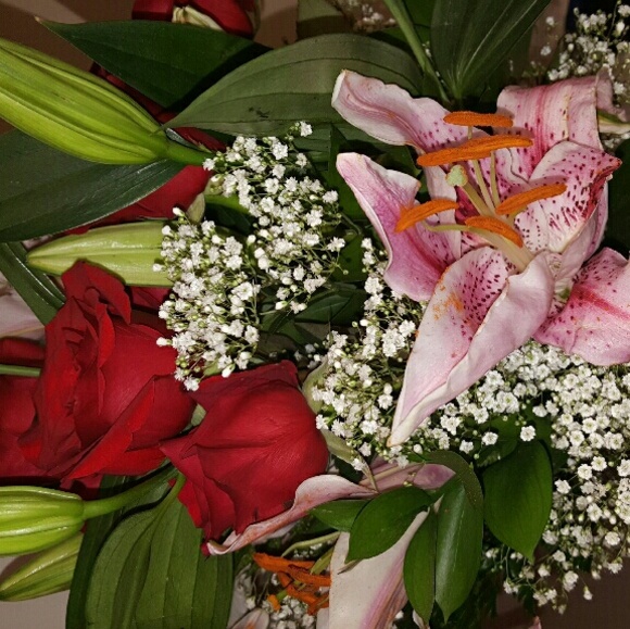 Meet your Posher, Erica - Picture 1 of 1