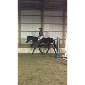 Meet your Posher, Dani