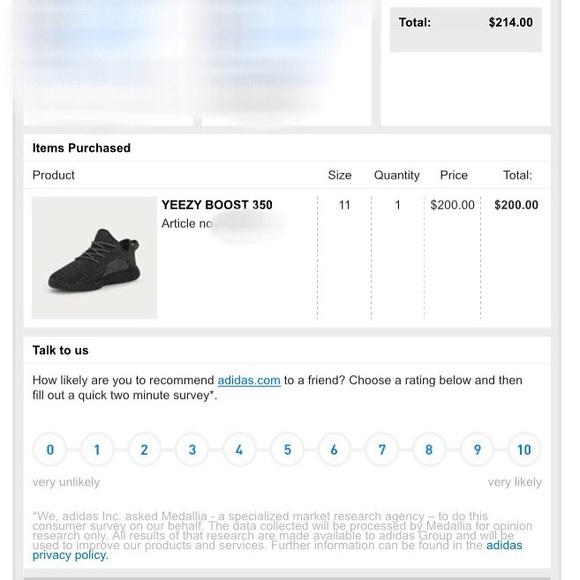 Adidas Yeezy Boost 350 - Picture 1 of 1