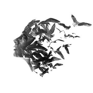 Meet your Posher, Colleen