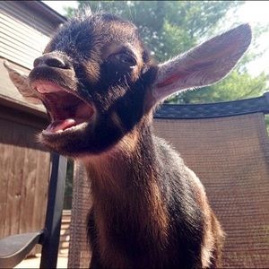 Meet your Posher, Leah