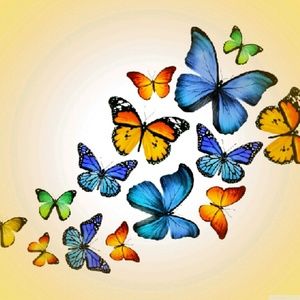 Meet your Posher, Beverly