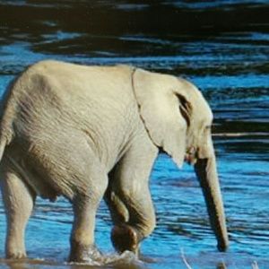 Meet your Posher, Lyndsy