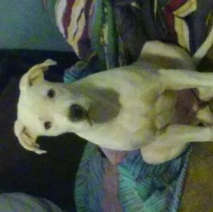 Meet your Posher, Marisol