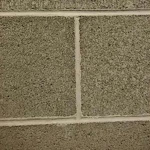 Meet your Posher, Celestine