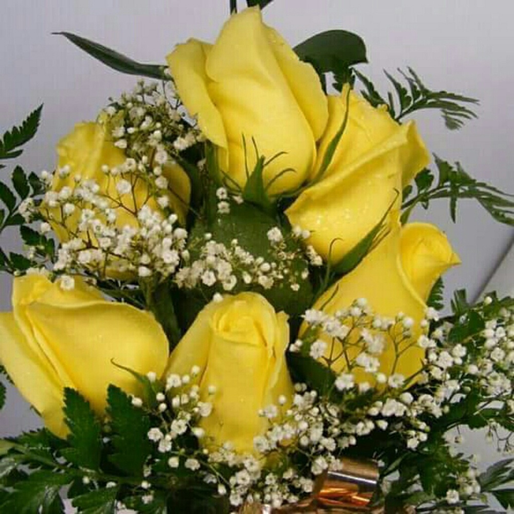 Meet your Posher, Deedee