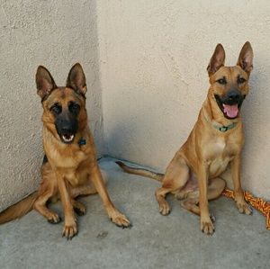 Meet your Posher, Christa