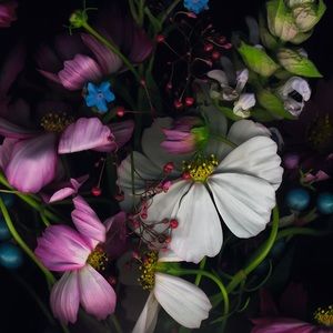 Meet your Posher, Yana