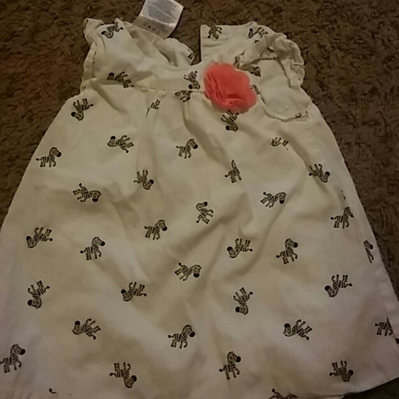 Infant Spring dress