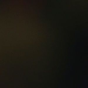 Meet your Posher, Bree