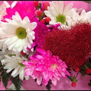 Meet your Posher, Veronica